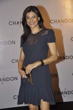 Sushmita Sen at Moet Hennesey launch of Chandon wines made now in India in Four Seasons, Mumbai on 19th Oct 2013